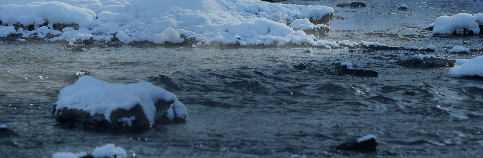 banner_1.png