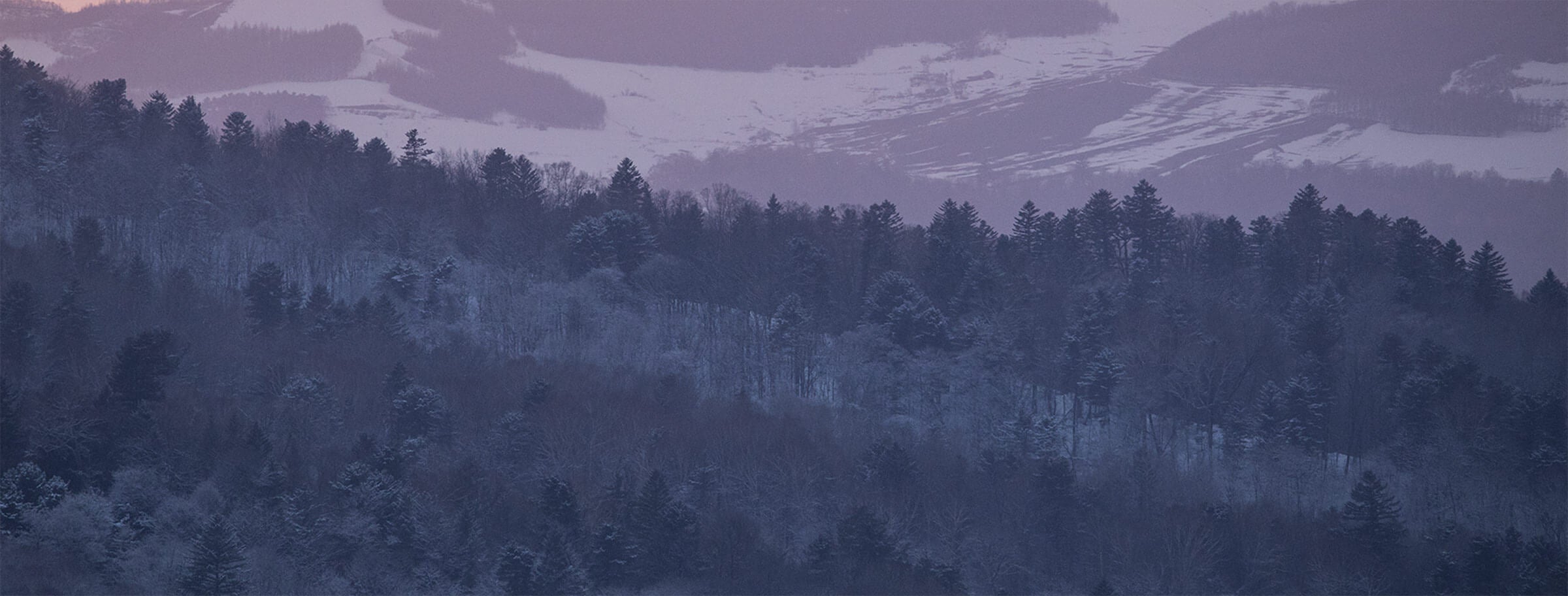 pc-topBg.jpg